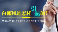ϳ粡ʲô